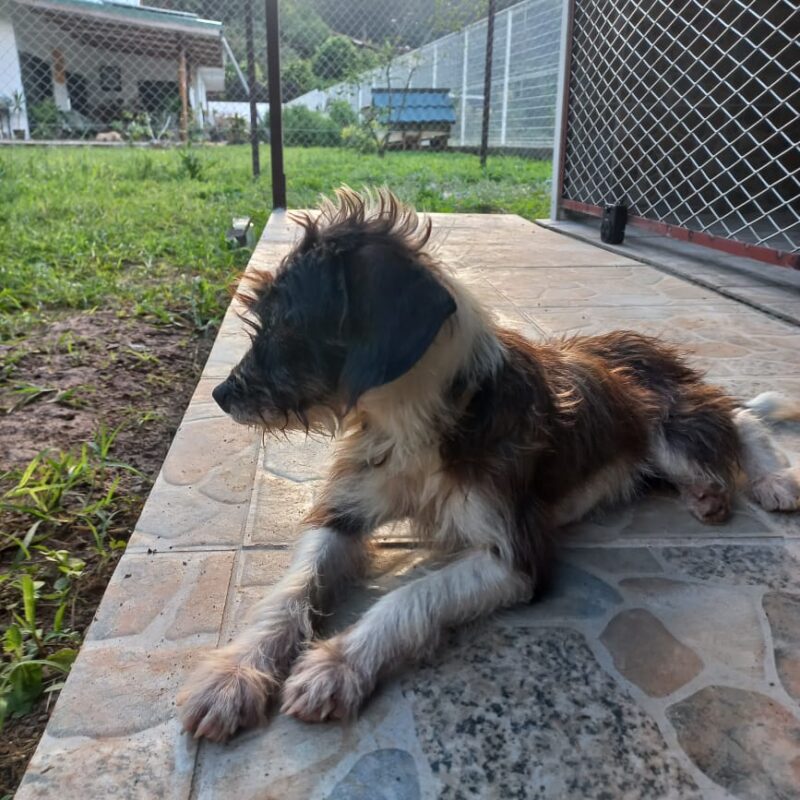 KEISHI - ADOPTÉE – Image 3