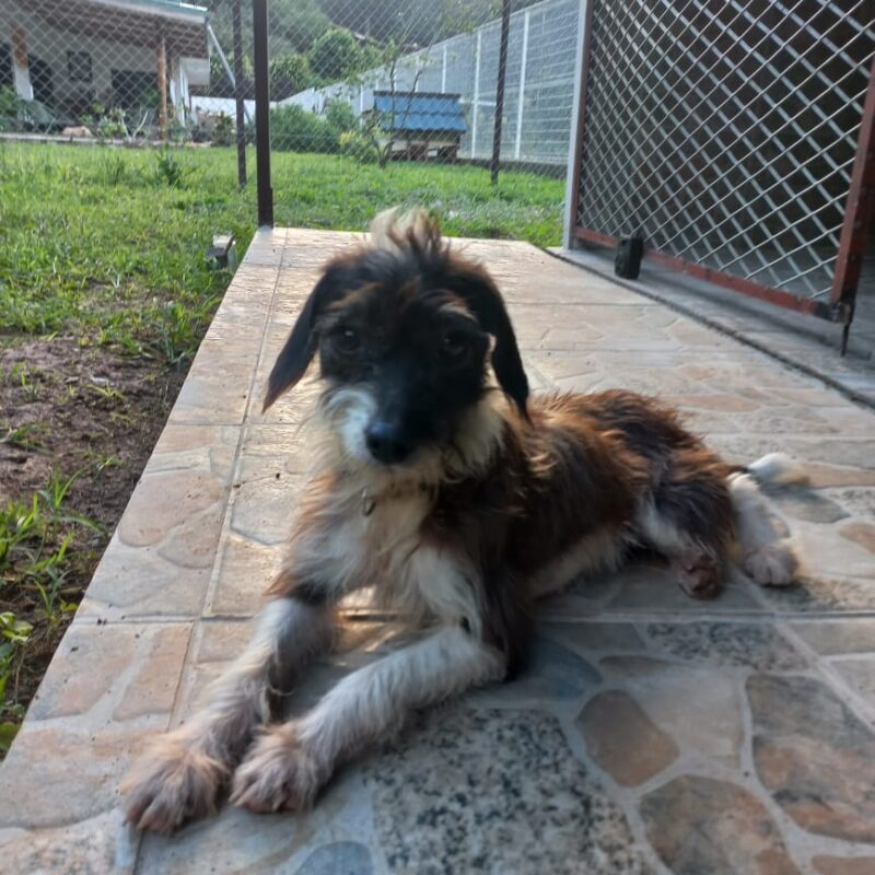 KEISHI - ADOPTÉE – Image 4